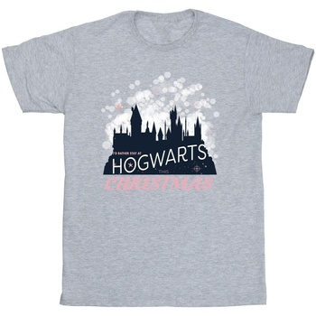 Abbigliamento Bambina T-shirts a maniche lunghe Harry Potter Hogwarts Christmas Grigio