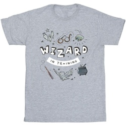 Abbigliamento Bambina T-shirts a maniche lunghe Harry Potter Wizard In Training Grigio