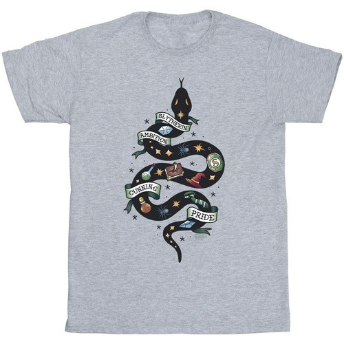 Abbigliamento Bambina T-shirts a maniche lunghe Harry Potter Slytherin Sketch Grigio
