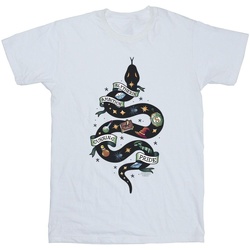 Abbigliamento Bambina T-shirts a maniche lunghe Harry Potter Slytherin Sketch Bianco