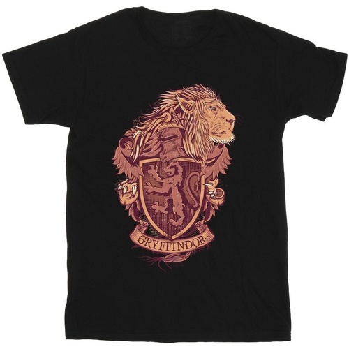 Abbigliamento Bambina T-shirts a maniche lunghe Harry Potter Gryffindor Sketch Crest Nero