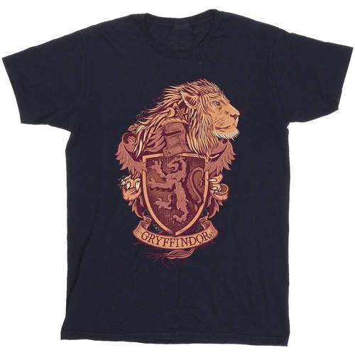 Abbigliamento Bambina T-shirts a maniche lunghe Harry Potter Gryffindor Sketch Crest Blu