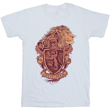 Abbigliamento Bambina T-shirts a maniche lunghe Harry Potter Gryffindor Sketch Crest Bianco