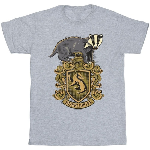 Abbigliamento Bambina T-shirts a maniche lunghe Harry Potter Hufflepuff Sketch Crest Grigio