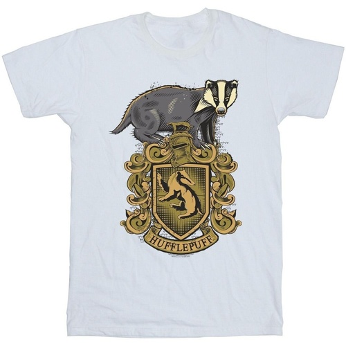 Abbigliamento Bambina T-shirts a maniche lunghe Harry Potter Hufflepuff Sketch Crest Bianco