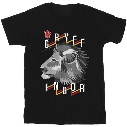 Abbigliamento Bambina T-shirts a maniche lunghe Harry Potter Gryffindor Lion Icon Nero