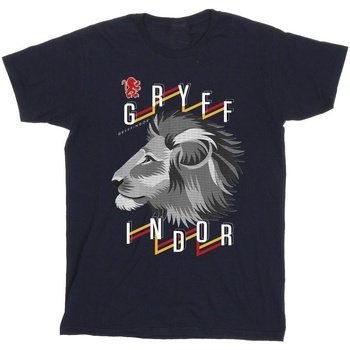Abbigliamento Bambina T-shirts a maniche lunghe Harry Potter Gryffindor Lion Icon Blu