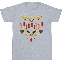 Abbigliamento Bambina T-shirts a maniche lunghe Harry Potter Quidditch Golden Snitch Grigio