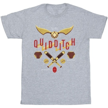 Abbigliamento Bambina T-shirts a maniche lunghe Harry Potter Quidditch Golden Snitch Grigio