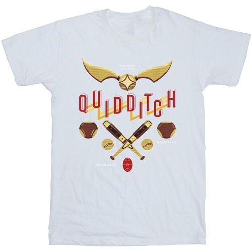 Abbigliamento Bambina T-shirts a maniche lunghe Harry Potter Quidditch Golden Snitch Bianco