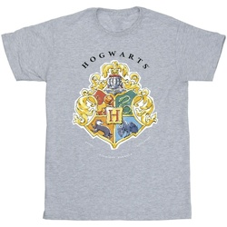 Abbigliamento Bambina T-shirts a maniche lunghe Harry Potter Hogwarts School Emblem Grigio