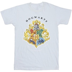 Abbigliamento Bambina T-shirts a maniche lunghe Harry Potter Hogwarts School Emblem Bianco