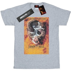 Abbigliamento Uomo T-shirts a maniche lunghe Friday The 13Th Jason Goes To Hell Grigio