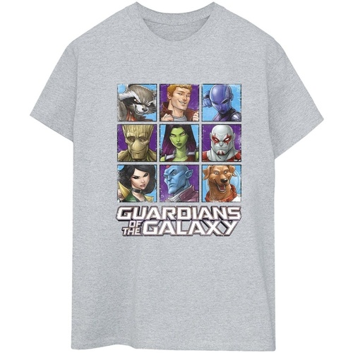 Abbigliamento Donna T-shirts a maniche lunghe Guardians Of The Galaxy Character Squares Grigio