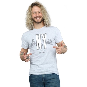 Abbigliamento Uomo T-shirts a maniche lunghe Friends NY City Grigio