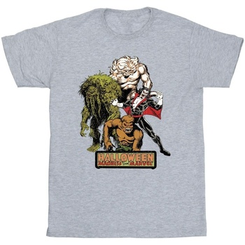Abbigliamento Bambino T-shirt maniche corte Marvel Halloween Monsters Grigio