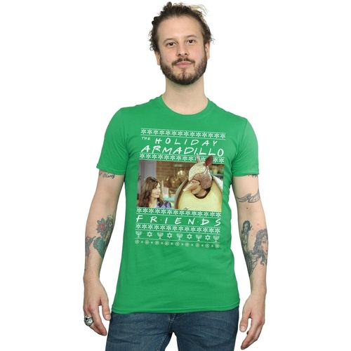 Abbigliamento Uomo T-shirts a maniche lunghe Friends Fair Isle Holiday Armadillo Verde