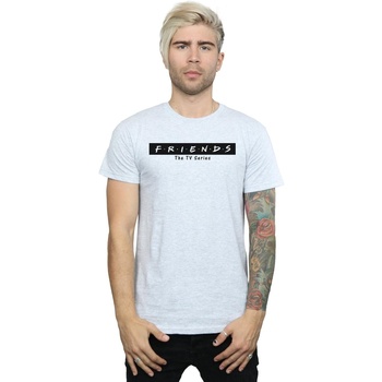 Abbigliamento Uomo T-shirts a maniche lunghe Friends Logo Block Grigio