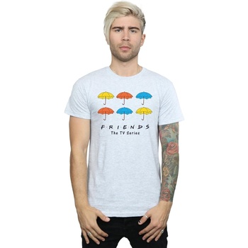 Abbigliamento Uomo T-shirts a maniche lunghe Friends Coloured Umbrellas Grigio