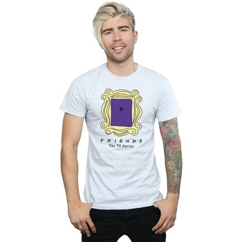 Abbigliamento Uomo T-shirts a maniche lunghe Friends Door Peephole Grigio
