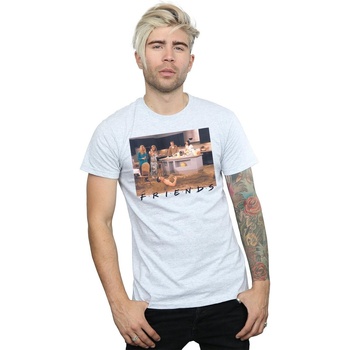Abbigliamento Uomo T-shirts a maniche lunghe Friends Joey Mermaid Grigio