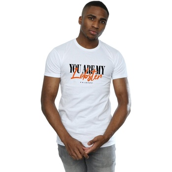 Abbigliamento Uomo T-shirts a maniche lunghe Friends Lobster Soul Mates Bianco