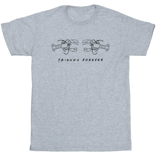 Abbigliamento Uomo T-shirts a maniche lunghe Friends Lobster Logo Grigio