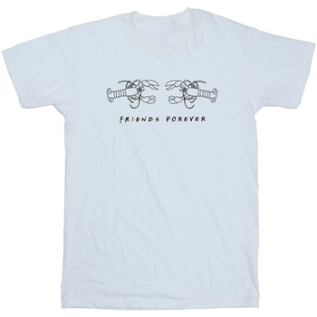 Abbigliamento Uomo T-shirts a maniche lunghe Friends Lobster Logo Bianco