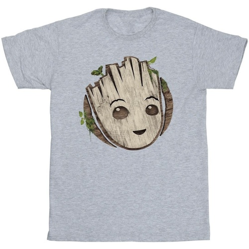 Abbigliamento Bambina T-shirts a maniche lunghe Marvel I Am Groot Wooden Head Grigio