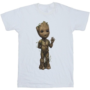 Abbigliamento Bambina T-shirts a maniche lunghe Marvel I Am Groot Wave Pose Bianco