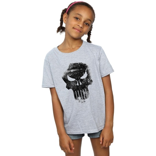Abbigliamento Bambina T-shirts a maniche lunghe Marvel The Punisher Distrressed Skull Grigio