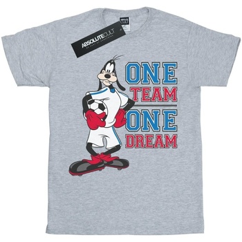 Abbigliamento Bambina T-shirts a maniche lunghe Disney Goofy One Team One Dream Grigio