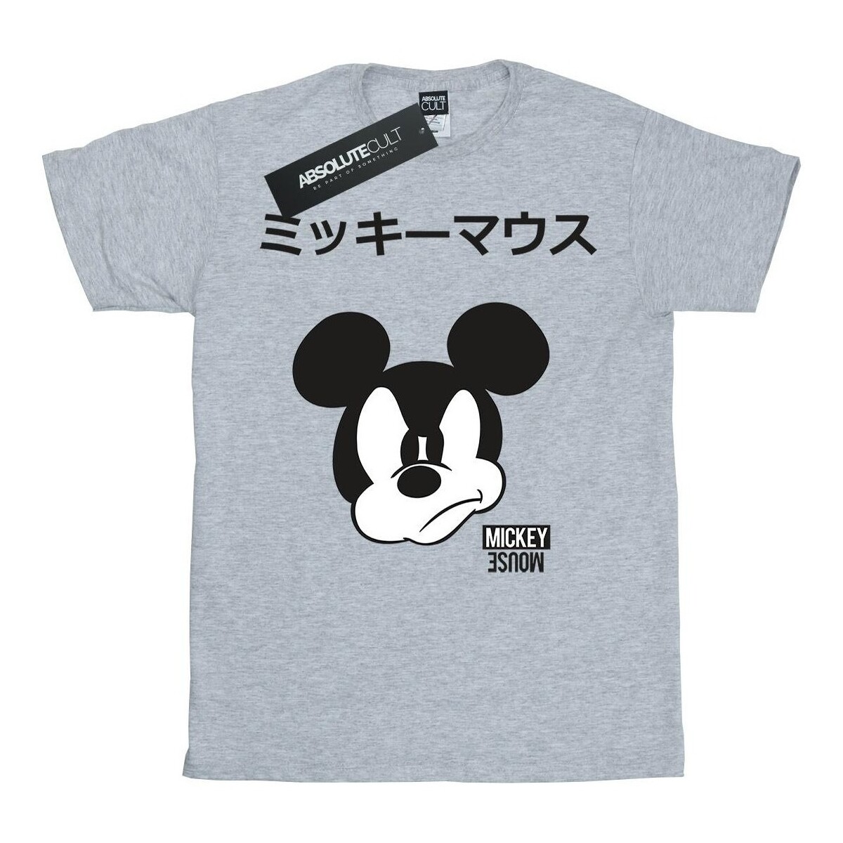 Abbigliamento Bambina T-shirts a maniche lunghe Disney Mickey Mouse Japanese Grigio