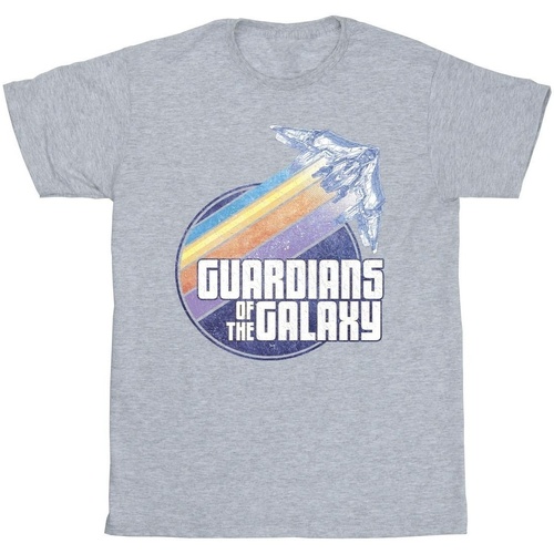 Abbigliamento Uomo T-shirts a maniche lunghe Guardians Of The Galaxy Badge Rocket Grigio