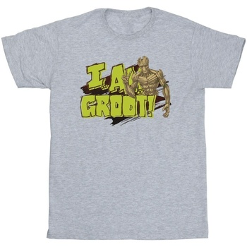 Abbigliamento Uomo T-shirts a maniche lunghe Guardians Of The Galaxy I Am Groot Grigio