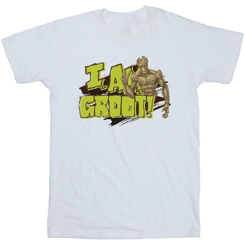Abbigliamento Uomo T-shirts a maniche lunghe Guardians Of The Galaxy I Am Groot Bianco