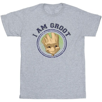Abbigliamento Uomo T-shirts a maniche lunghe Guardians Of The Galaxy Groot Varsity Grigio