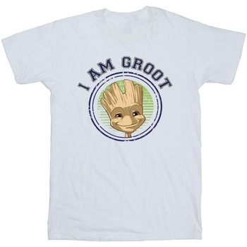 Abbigliamento Uomo T-shirts a maniche lunghe Guardians Of The Galaxy Groot Varsity Bianco