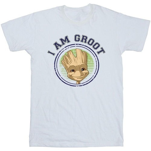 Abbigliamento Uomo T-shirts a maniche lunghe Guardians Of The Galaxy Groot Varsity Bianco