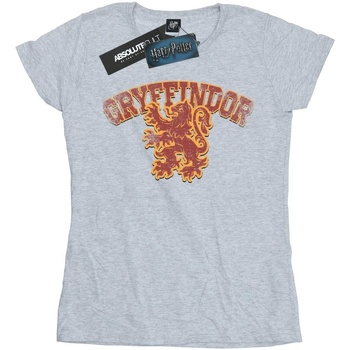 Abbigliamento Donna T-shirts a maniche lunghe Harry Potter Gryffindor Sport Emblem Grigio