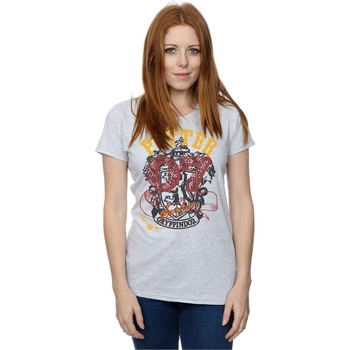 Abbigliamento Donna T-shirts a maniche lunghe Harry Potter Gryffindor Seeker Grigio