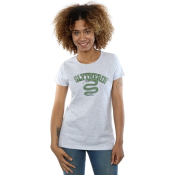 Abbigliamento Donna T-shirts a maniche lunghe Harry Potter Slytherin Sport Emblem Grigio