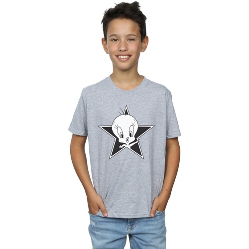 Abbigliamento Bambino T-shirt & Polo Dessins Animés Tweety Pie Mono Star Grigio