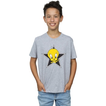 Abbigliamento Bambino T-shirt maniche corte Dessins Animés Tweety Pie Star Grigio