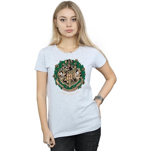 Abbigliamento Donna T-shirts a maniche lunghe Harry Potter Christmas Wreath Grigio