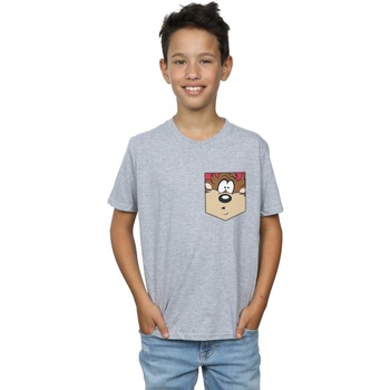 Abbigliamento Bambino T-shirt maniche corte Dessins Animés Tasmanian Devil Face Faux Pocket Grigio