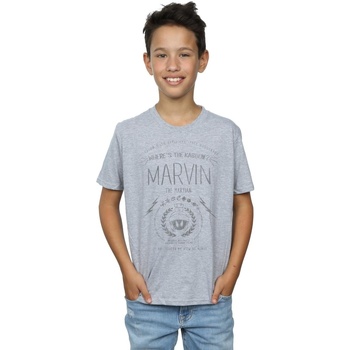 Abbigliamento Bambino T-shirt maniche corte Dessins Animés Marvin The Martian Where's The Kaboom Grigio