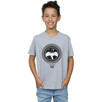 Abbigliamento Bambino T-shirt & Polo Dessins Animés Sylvester Greek Circle Grigio