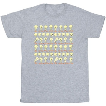 Abbigliamento Bambina T-shirts a maniche lunghe Dessins Animés BI25354 Grigio