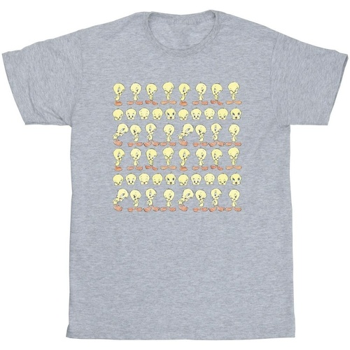 Abbigliamento Bambina T-shirts a maniche lunghe Dessins Animés BI25354 Grigio